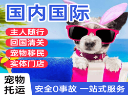 南京禄口机场邮寄国际宠物托运 【国